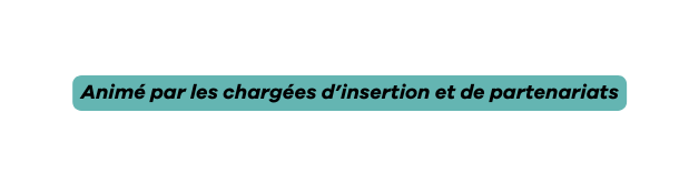 Animé par les chargées d insertion et de partenariats