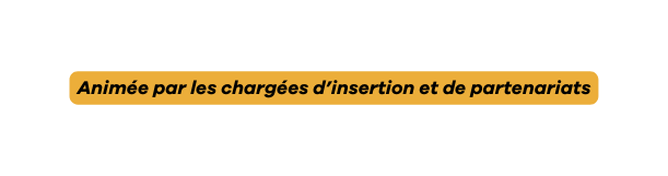 Animée par les chargées d insertion et de partenariats